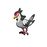 Normal coloration of Tranquill