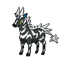 Normal coloration of Zebstrika