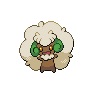 Normal coloration of Whimsicott