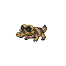 Normal coloration of Sandile