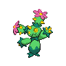 Normal coloration of Maractus