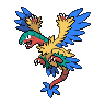 Normal coloration of Archeops