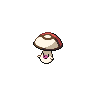 Normal coloration of Foongus