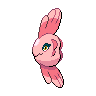 Normal coloration of Alomomola
