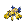 Normal coloration of Galvantula