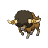 Normal coloration of Bouffalant
