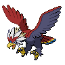 Normal coloration of Braviary