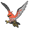 Normal coloration of Talonflame
