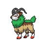 Normal coloration of Gogoat