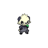 Normal coloration of Pancham
