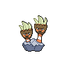 Normal coloration of Binacle