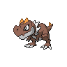 Normal coloration of Tyrunt