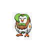 Normal coloration of Dartrix