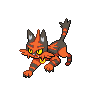 Normal coloration of Torracat