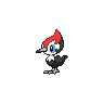 Normal coloration of Pikipek