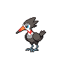 Normal coloration of Trumbeak