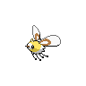 Normal coloration of Cutiefly