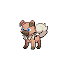 Normal coloration of Rockruff