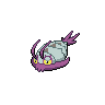 Normal coloration of Wimpod