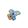 Normal coloration of Komala