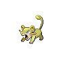 Shiny version of Rattata (male)