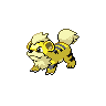 Shiny version of Growlithe