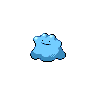 Shiny version of Ditto