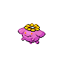 Shiny version of Skiploom