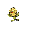 Shiny version of Sunflora