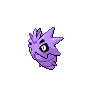 Shiny version of Pupitar
