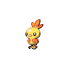 Shiny version of Torchic (male)