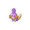 Shiny version of Mudkip