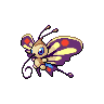 Shiny version of Beautifly (male)