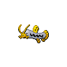 Shiny version of Barboach