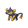 Shiny version of Luxio (male)