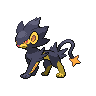 Shiny version of Luxray (male)