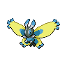 Shiny version of Mothim