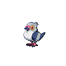 Shiny version of Pidove