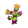 Shiny version of Maractus