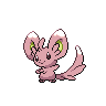 Shiny-Version von Picochilla