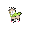 Shiny version of Skiddo