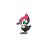 Shiny version of Pikipek
