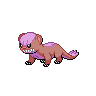 Shiny version of Yungoos