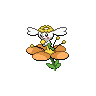 Normal coloration of Orange Flower