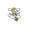 Normal coloration of White Flower