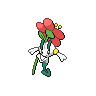 Normal coloration of Red Flower