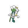 Normal coloration of White Flower