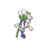 Shiny version of White Flower