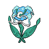 Normal coloration of Blue Flower