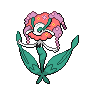 Normal coloration of Red Flower